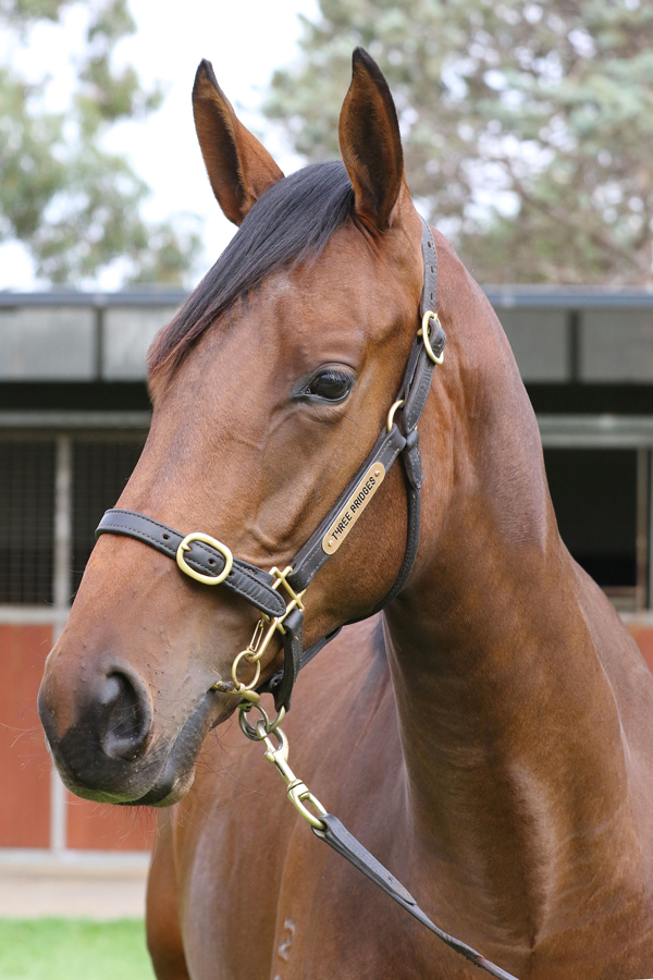 Lot 298Bay FillyFiorente (IRE) x Maunatrice click for more